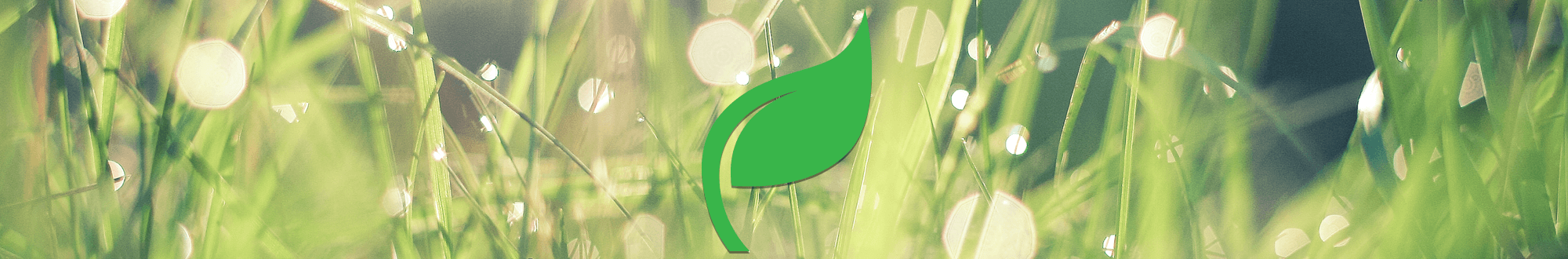 Valor Fireplace Green Initiative